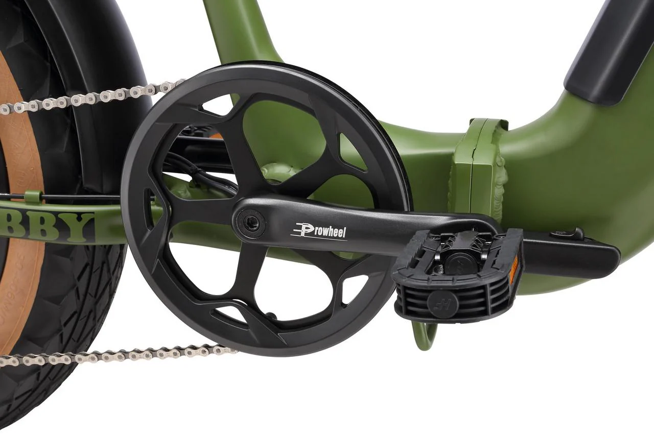 2025 | Bobby - Image 4