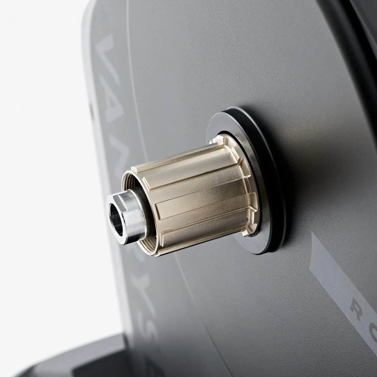 RCR Zwift - Image 20